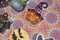 Funny Spookiness SR-310 Plastic Canvas Counted Cross Stitch Kit